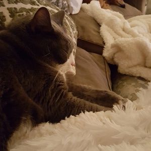 Meet your Posher, Lisamarie